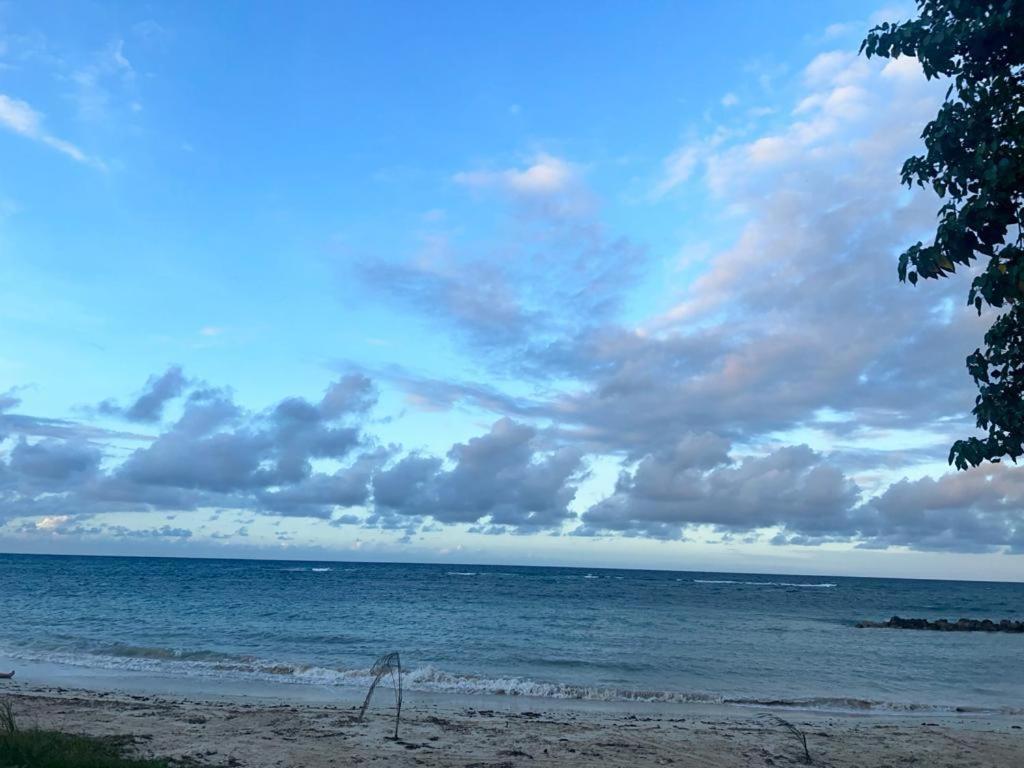 Ferienwohnung Sea Castles La Vue Montego Bay Exterior foto